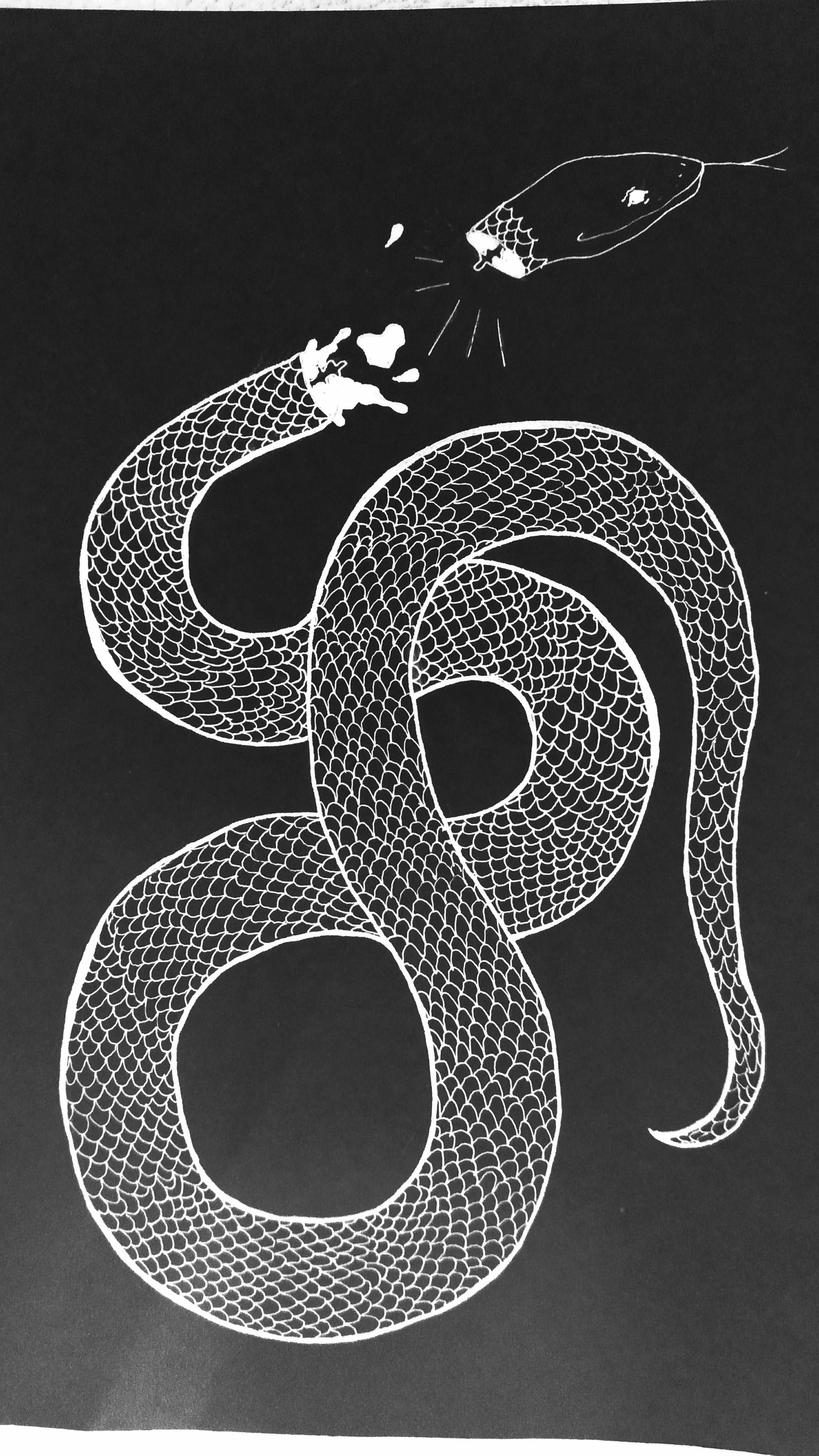 krier-snake